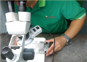 LED灯珠模具抛光-火博（中国）